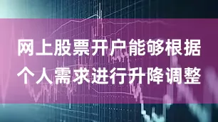 网上股票开户能够根据个人需求进行升降调整